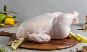 Fresh Chicken